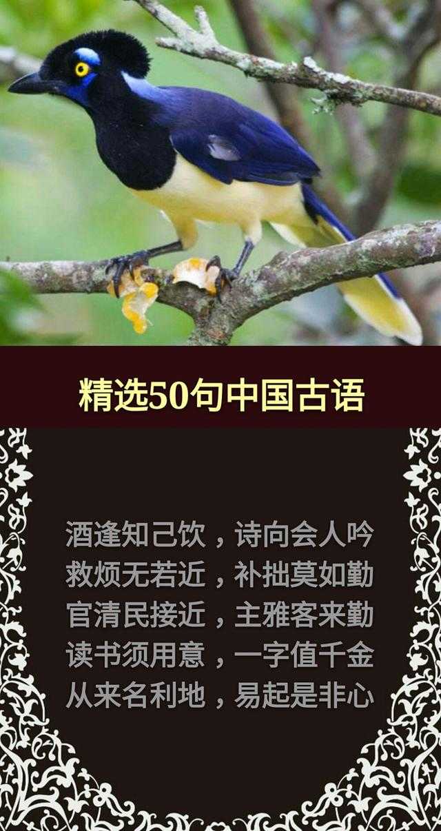 草，有根；话，有因；酒，红面；钱，黑心「句句精辟，值得收藏」