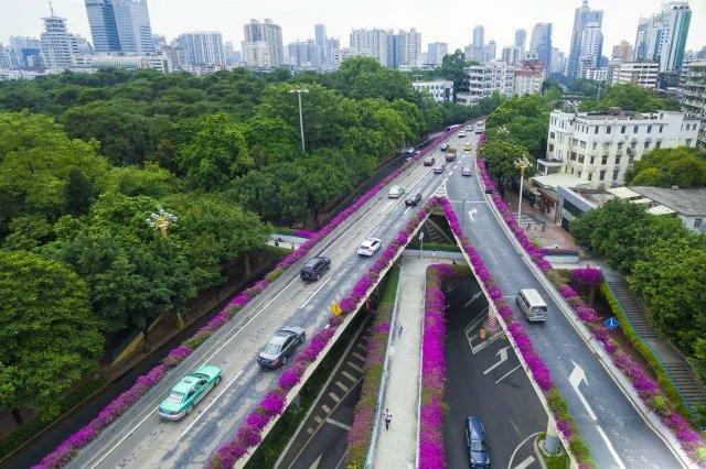 离开家乡，别人的城市