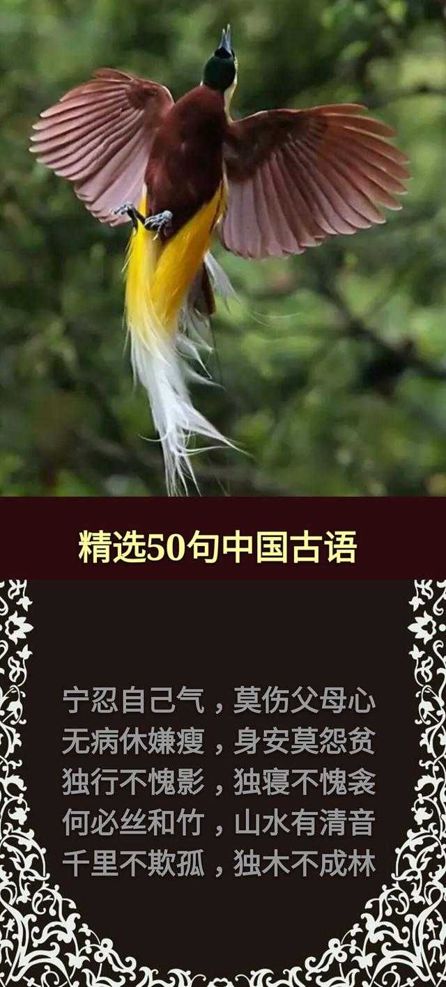 草，有根；话，有因；酒，红面；钱，黑心「句句精辟，值得收藏」