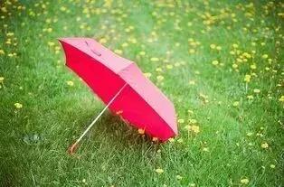 一把小花伞一双小雨鞋