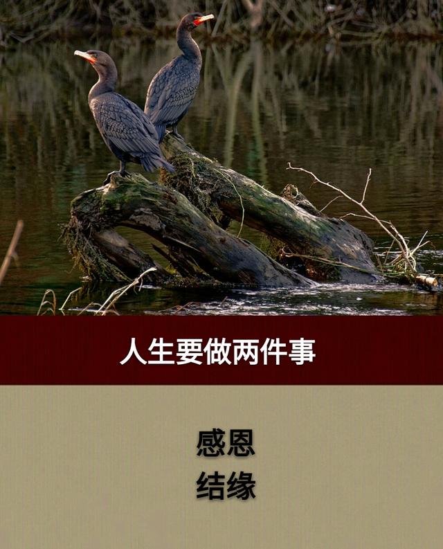 人生的二十二个“二”「短而精，值得收藏」