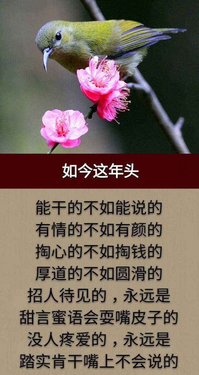 人若欺我，礼让三分；人再欺我，我还一针；人还欺我，斩草除根！