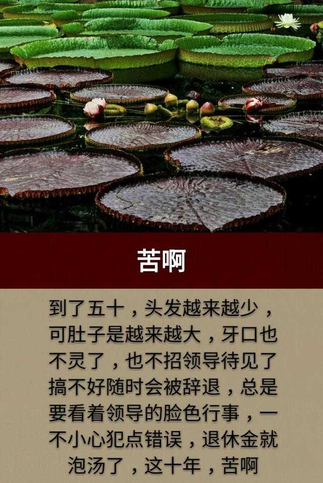 人生三做：一“做人”，二“做牛”，三“做猴”「写得真好」