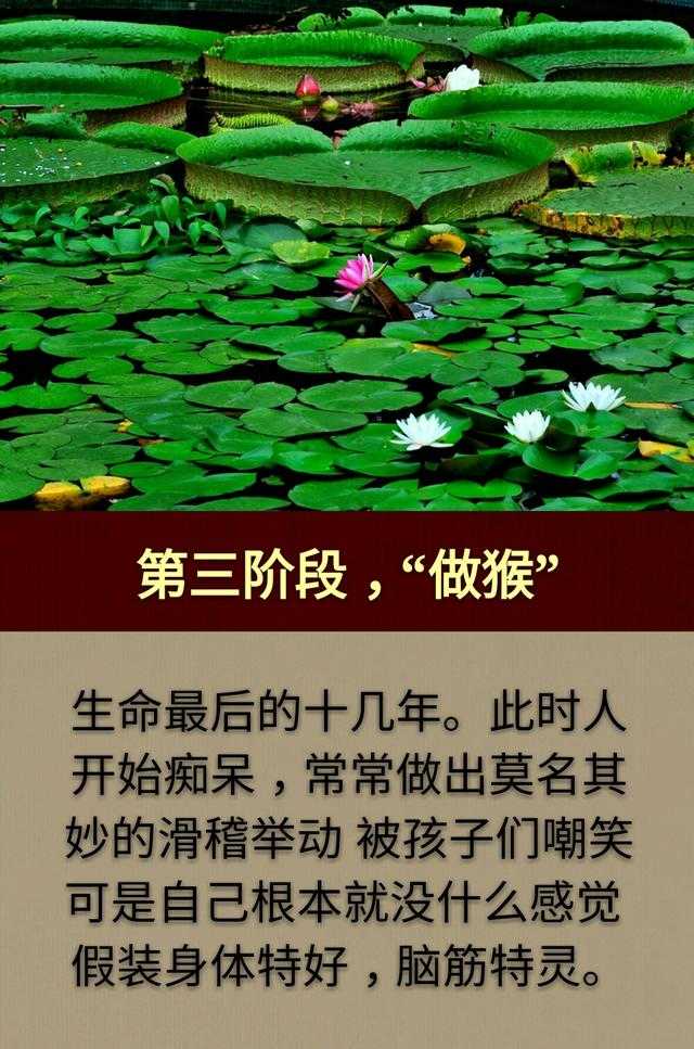 人生三做：一“做人”，二“做牛”，三“做猴”「写得真好」