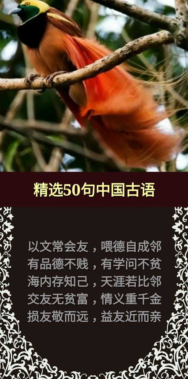 草，有根；话，有因；酒，红面；钱，黑心「句句精辟，值得收藏」