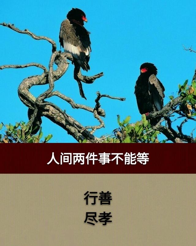 人生的二十二个“二”「短而精，值得收藏」