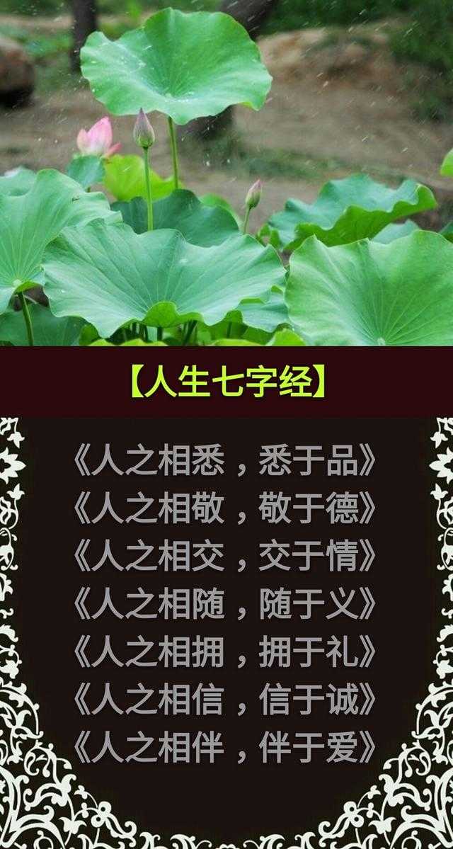 多门之室生风，多嘴之人生祸「句句精辟」