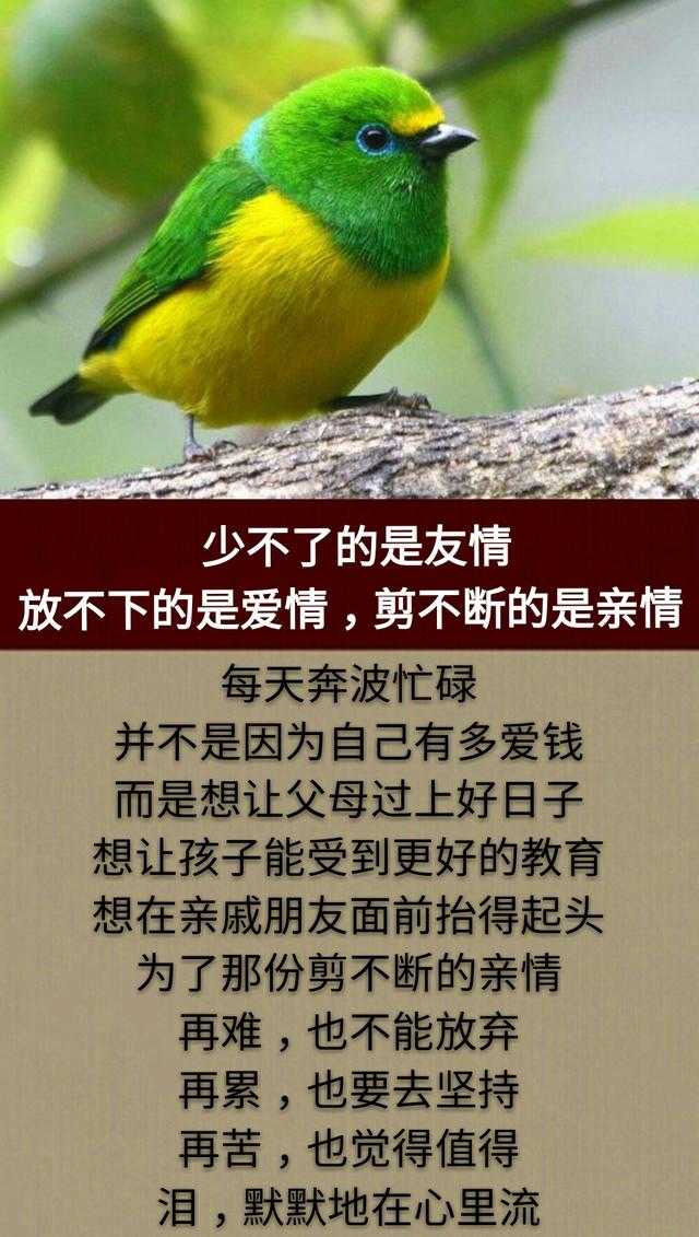 这一生，为钱而拼，累累累；这一世，为情而活，苦苦苦！