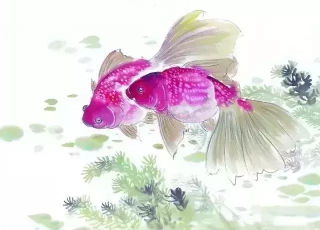 鱼那么信任水, 水却煮了鱼 (深度好文)