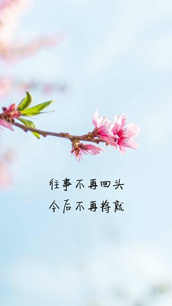 生活感悟：往事不再回头