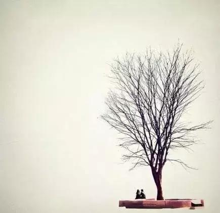 智者见泉，愚人见石，纠结之人是可耻的