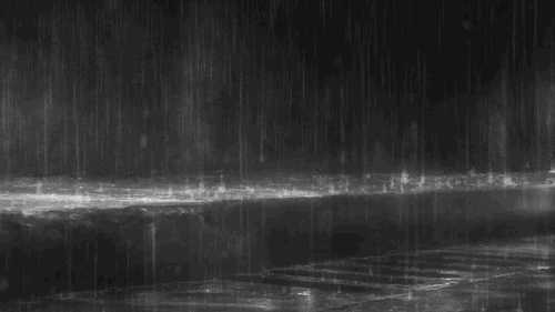 这个秋夜，有雨敲窗