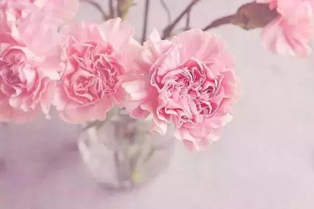 从今天起，不动声色地去幸福吧