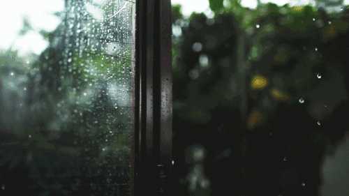 这个秋夜，有雨敲窗