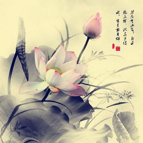 这件事让我开始相信因果报应