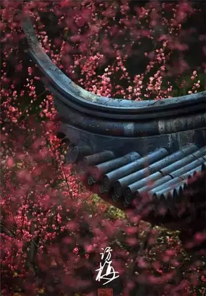 没有一种生气是值得的