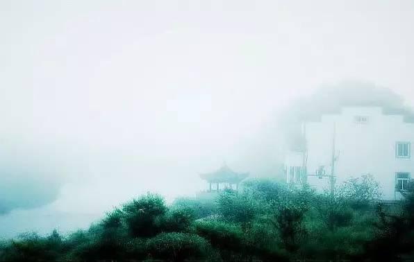 涵 养(写的真好)