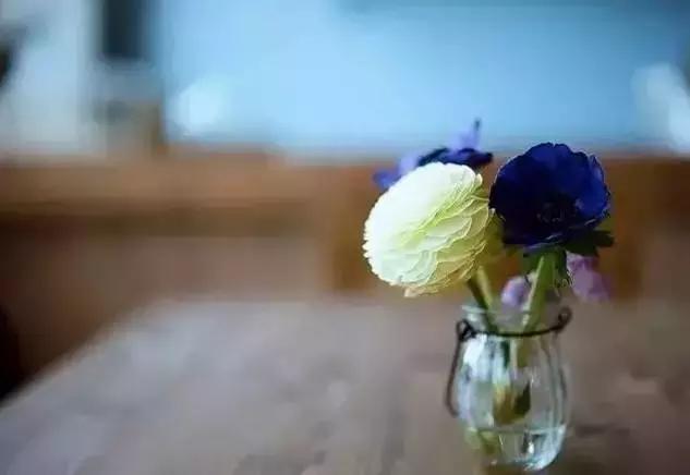 一辈子的光阴扔在了单位