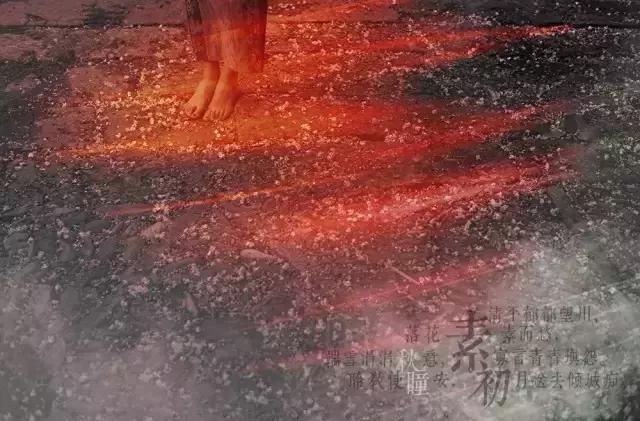 守心中的风景，淡红尘的浮华