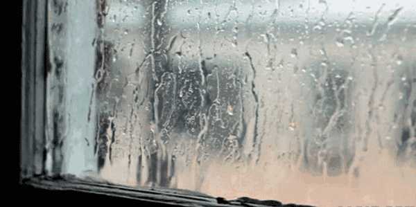 这个秋夜，有雨敲窗