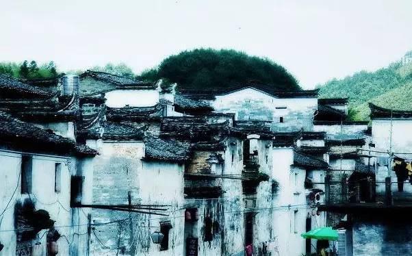涵 养(写的真好)