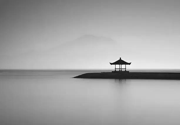 人性，狗性，狼性