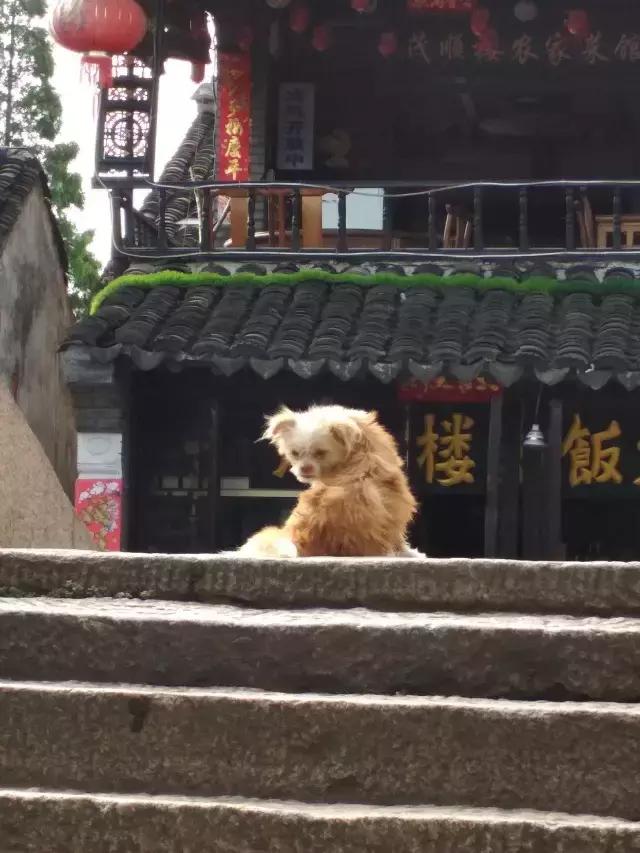 遇见一座城