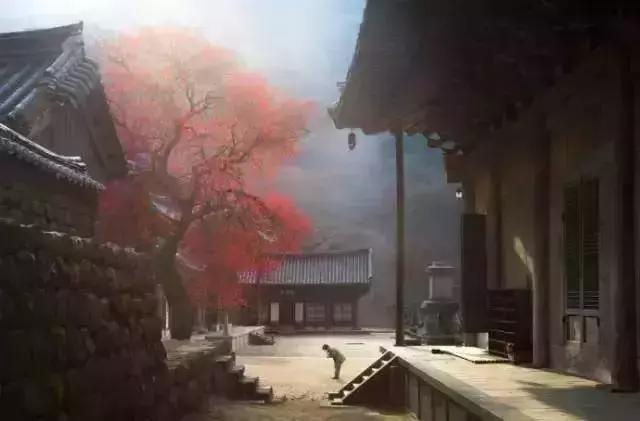 药引子
