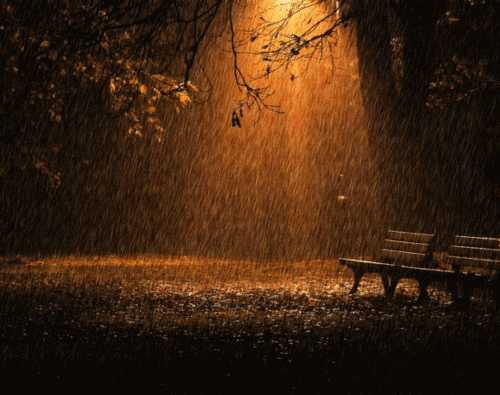 这个秋夜，有雨敲窗
