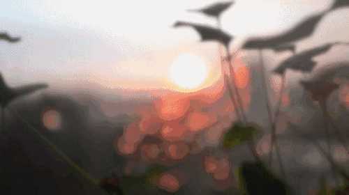 这个秋夜，有雨敲窗