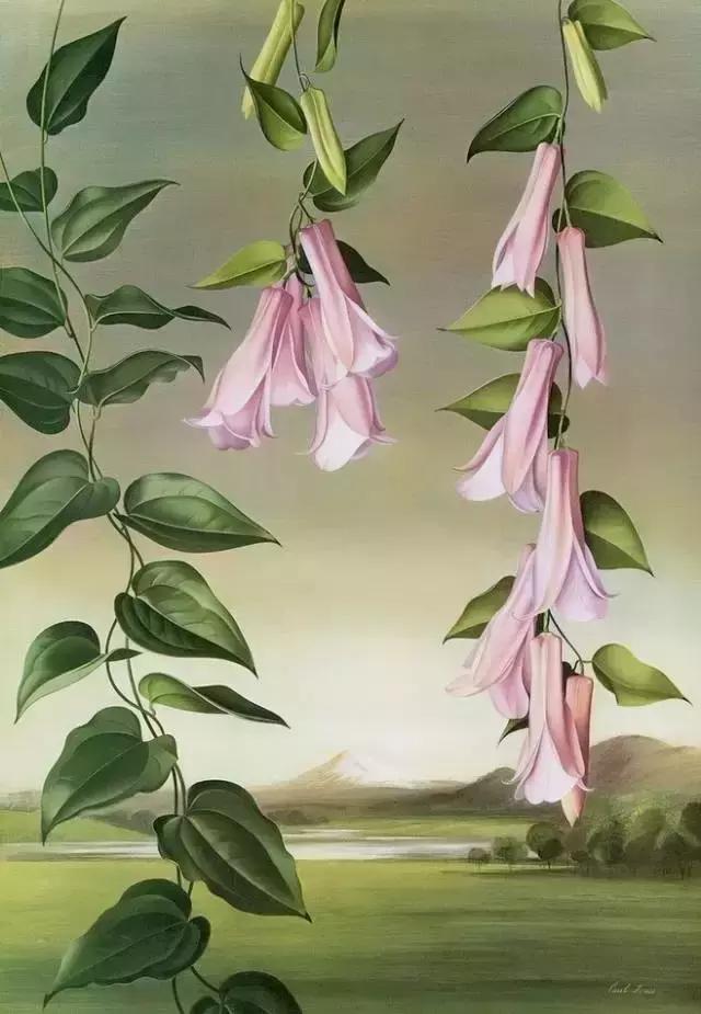 去懂你身边那个依偎到老的人