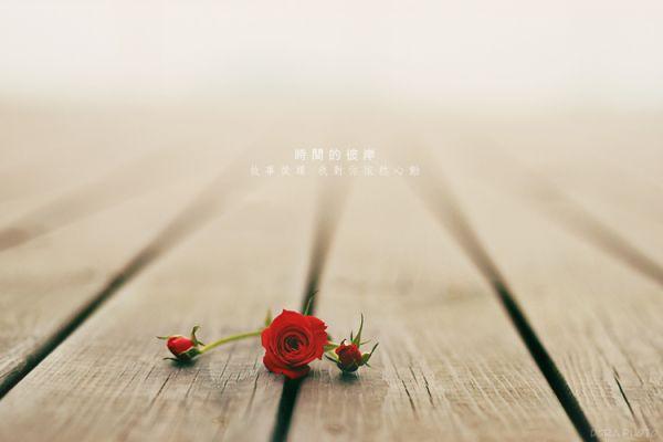 愿岁月如初，你我如故，是多么美好的祈愿，可如若一切如初