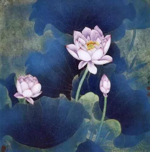 这样活着，一辈子不会老