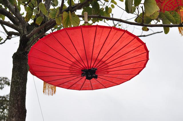 手臂上的胎记，被一把红色油纸伞，引出了前世自己死亡的瞬间