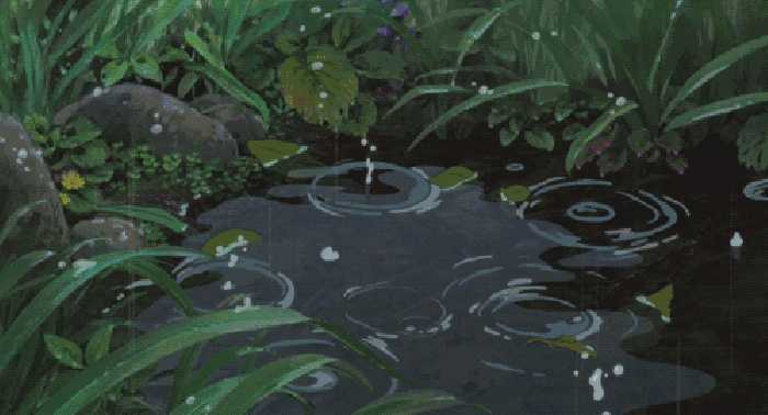 这个秋夜，有雨敲窗