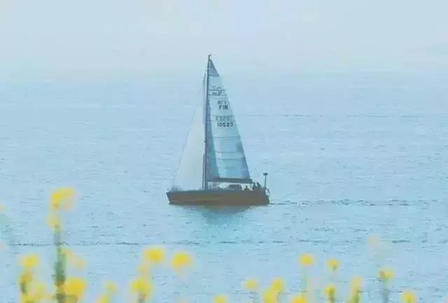 年少不懂听情歌，流泪已是不惑年
