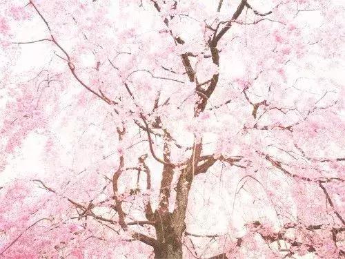 珍惜生命里的爱暖情长