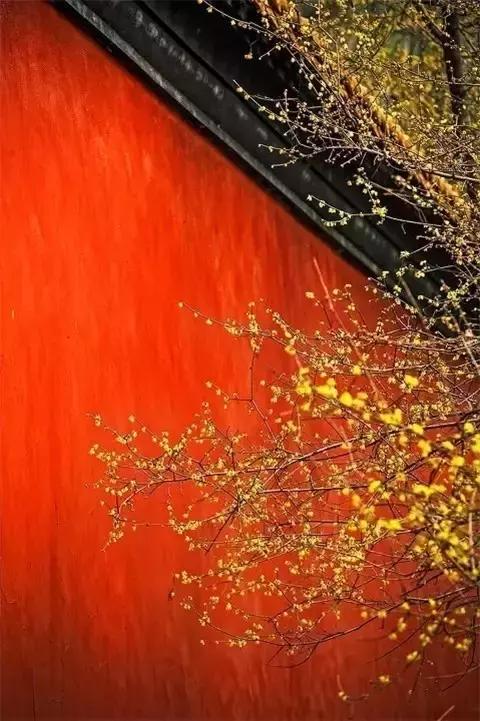 今生，一世