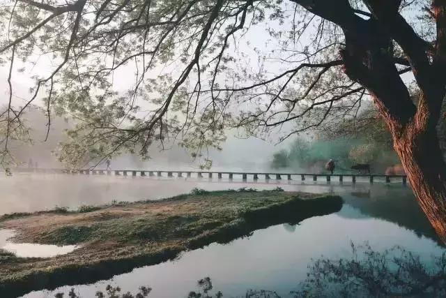 蒋勋：不是所有人，都能看见美