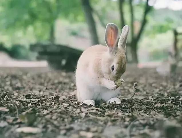 都是第一次做人，凭什么我要让着你