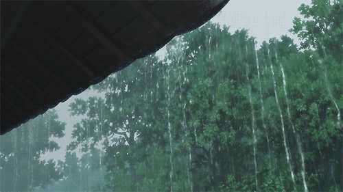 这个秋夜，有雨敲窗