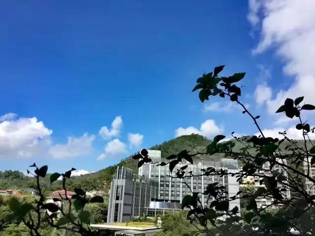 你的问题，离婚解决不了