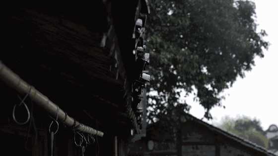这个秋夜，有雨敲窗