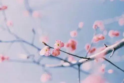 珍惜生命里的爱暖情长