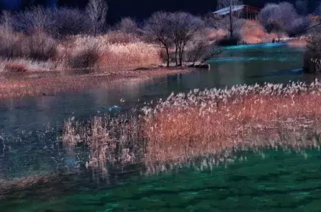 芦花辞：一梦不醒，一醉千年