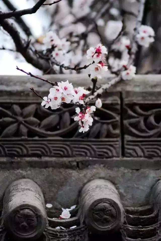 心美了，一切都就美了
