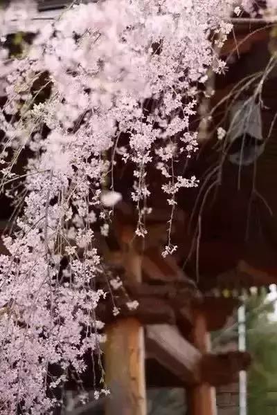心美了，一切都就美了