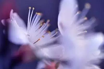 亦舒：我们活在世上不求人原谅