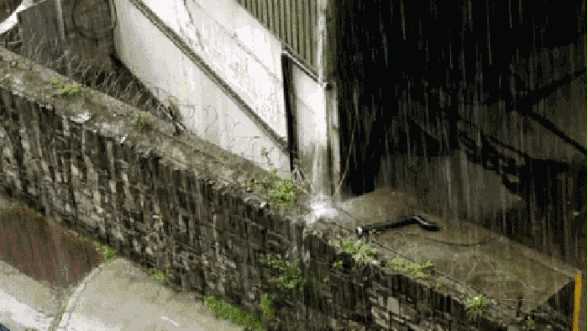 这个秋夜，有雨敲窗