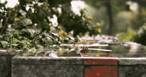 这个秋夜，有雨敲窗
